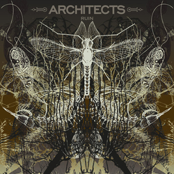 Architects Ruin Lp Picture Disc Limited Edition VINYL LP