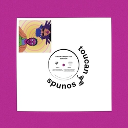 Pat Lok Spectrum vinyl 12