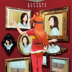 Hayashibara Megumi Slayers Megumix Japan Import Inc Booklet CD