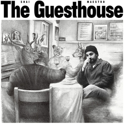 Shai Maestro Guesthouse vinyl LP