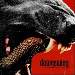 Downswing And Everything Was Dark - Black Red & Yellow Vinyl vinyl LP