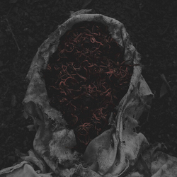 Gorrch Stillamentum vinyl LP