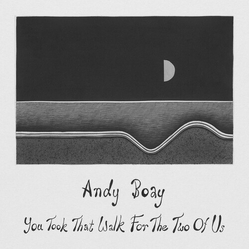 Andy Boay You Took That Walk For The Two Of Us vinyl LP