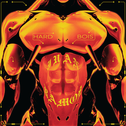 Juan Ramos Hard Bois vinyl 12