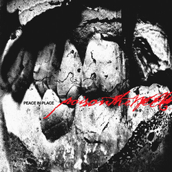 Poison The Well Peace In Place (Cvnl) vinyl LP