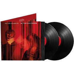 Peter Gabriel In The Big Room vinyl LP