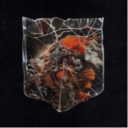 Shields Death & Connection - Splattered Milk Black Orange vinyl LP