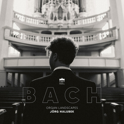 Jorg Halubek Organ Landscapes vinyl LP