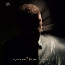 Luis Berra Piano Wont Fix Your Tormented Soul vinyl LP