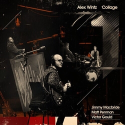 Alex Wintz Collage vinyl LP