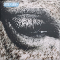 Smag Pa Dig Selv This Is Why We Lost (Uk) vinyl LP