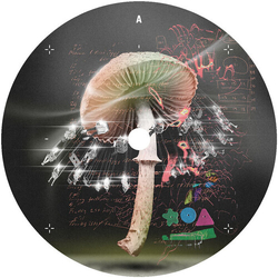 Lusu Move 2 The Groove vinyl 12