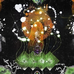 F Ampism Vertical Luminous vinyl LP