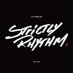 30 Years Of Strictly Rhythm 2 30 Years Of Strictly Rhythm Pt. 2 Various vinyl LP