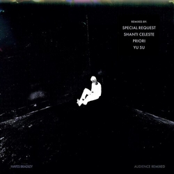 Hayes Bradley Audience (Remixed) vinyl 12
