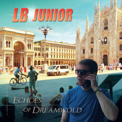 Lb Junior Echoes Of Dreamwold vinyl LP