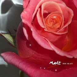 Ms Ray Melt (Uk) vinyl LP