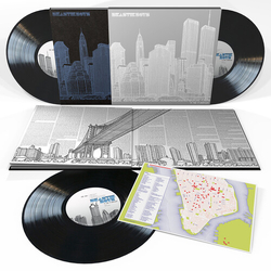 Beastie Boys To The 5 Boroughs (Dlx) (Ltd) (Ogv) vinyl LP