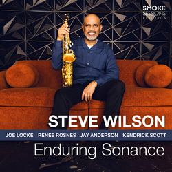 Steve Wilson Enduring Sonance vinyl LP