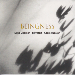 Leibman,Dave Hart,Billy Rudolph,Adam Beingness (Colv) (Ltd) (Ogv) vinyl LP