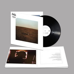 Fink City Is Coming To Erase It All (Gate) (Wb) vinyl LP
