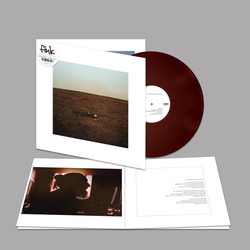 Fink City Is Coming To Erase It All (Colv) (Gate) (Wb) vinyl LP