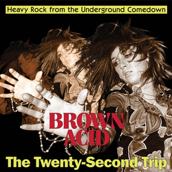 Brown Acid - Twenty-Second Trip Various Brown Acid - Twenty-Second Trip Various vinyl LP