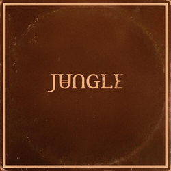 Jungle Sunshine vinyl LP
