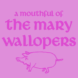 Mary Wallopers Mouthful Of Mary Wallopers Limited 10-Inch Vinyl 10Inch Limited Edition VINYL LP