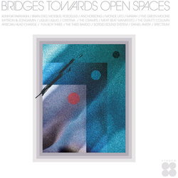 Bridges Towards Open Spaces Circadian Rhythms Bridges Towards Open Spaces Circadian Rhythms vinyl LP