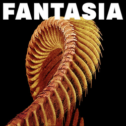 Slift Fantasia Yellow Colored VINYL LP