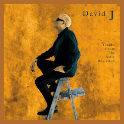 David J Tracks From The Attic Revisited Colored Gold VINYL LP