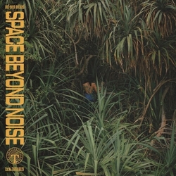 Not Even Noticed Space Beyond Noise vinyl LP