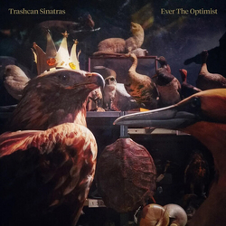 Trashcan Sinatras Ever The Optimist vinyl LP