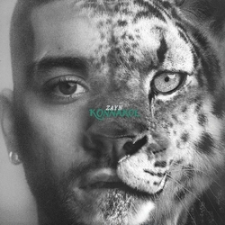 ZAYN Konnakol 'Blooming Blue' Colored VINYL LP