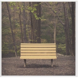 Streetlight Manifesto The Hands That Thieve Colored VINYL LP