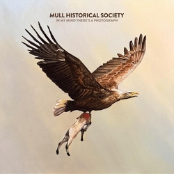 Mull Historical Society In My Mind Theres A Photograph - Oatmeal Vinyl vinyl LP