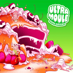 Ultramoule Gros Gateau vinyl LP