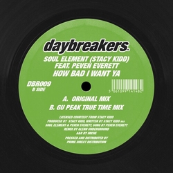 Soul Element (Aka Stacy Kidd & Peven Everett) How Bad I Want Ya VINYL 12INCH