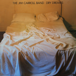 Jim Band Carroll Dry Dreams vinyl LP