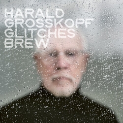 Harald Grosskopf Glitches Brew vinyl LP