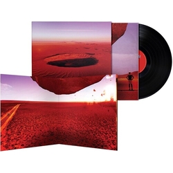 Willie Peyote Anatomia Di Uno Schianto Prolungato (Ita) vinyl LP
