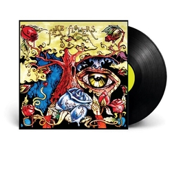 Ceschi Fake Flowers vinyl LP
