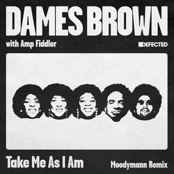 Dames Brown Take Me As I Am (Moodymann Remix) VINYL 12INCH