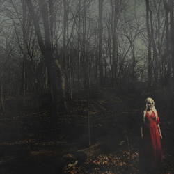156 Silence From A Distance Colored Orange Red VINYL LP
