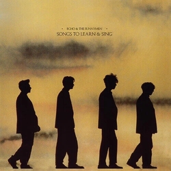 Echo & the Bunnymen Songs To Learn & Sing Black Yellow Limited Edition VINYL LP