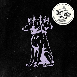 Curses Next Wave Acid Punx Trois (Chapter 3) VINYL LP