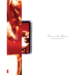 Texas Is the Reason Do You Know Who You Are Tx30 Special Edition Colored Inc Booklet VINYL LP
