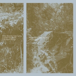 Bear Bones Lay Low Umbreit,Laslo Tales From The Source vinyl LP