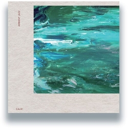 Calm Ambient Jazz vinyl LP